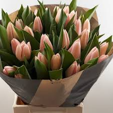 tulipa salmon dessert