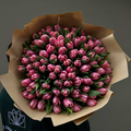 Tulipa tresor